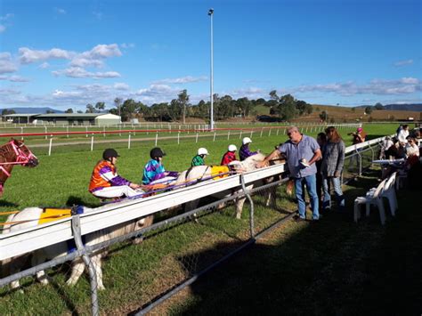 Kilcoy races a success :: Beaudesert Hibernian Race Club