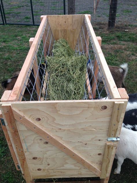 Homemade Goat Feeders For Sale | Establo de cabras, Razas de borregos, Ganado vacuno