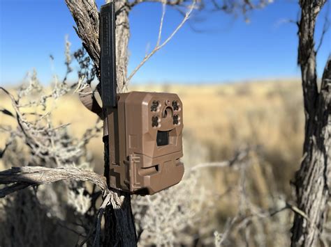 Moultrie Mobile Edge Cellular Trail Camera Review - Rokslide