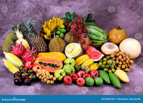 Tropical Fruits stock photo. Image of durians, tropical - 26664766