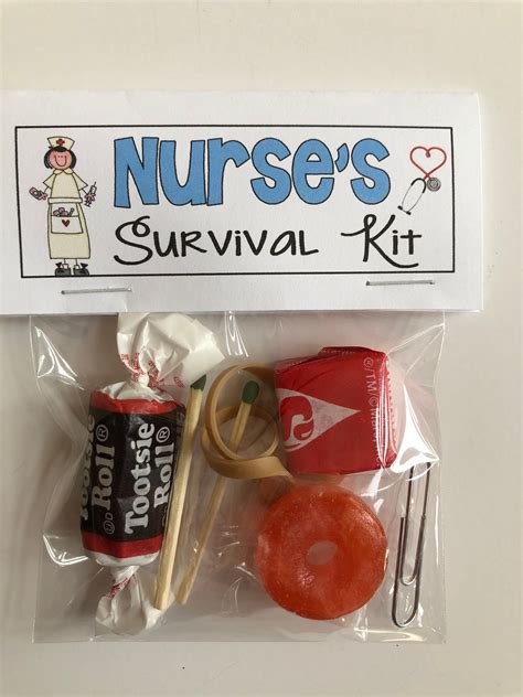 NURSE'S SURVIVAL KIT funny Gag Gift Bags silly prank | Etsy