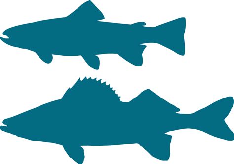 Free Walleye Silhouette, Download Free Walleye Silhouette png images, Free ClipArts on Clipart ...