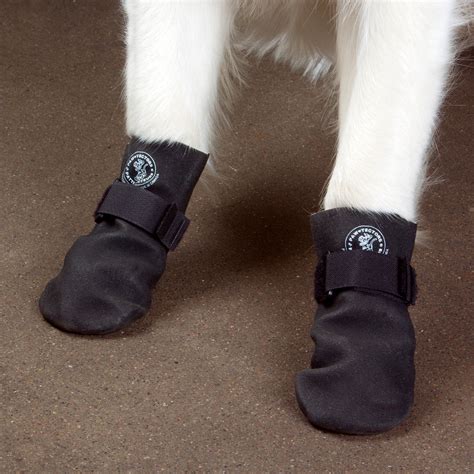 PawTectors Waterproof Dog Boots – Ultra Paws