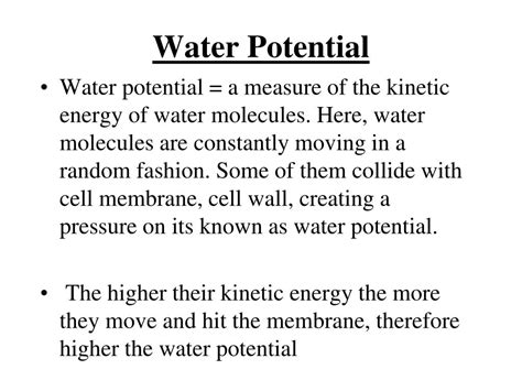 PPT - WATER POTENTIAL PowerPoint Presentation, free download - ID:4806142