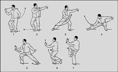 An example of a typical tai chi chuan form (push down and stand on one... | Download Scientific ...