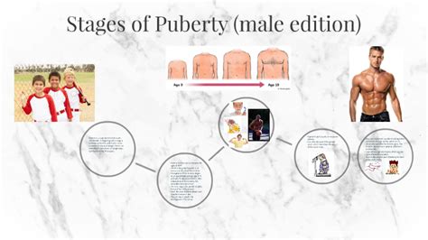 Stages Of Puberty In Boys Chart