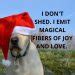 Labrador quotes- 15 quotes for every Labrador lover - Labrador Loving Souls