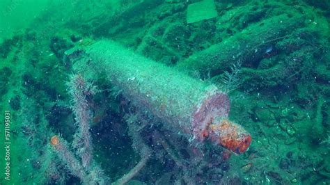 Diving on Snake Island -Machine gun Maxim on the seabed, closeup. Shipwreck of World War 1 ...