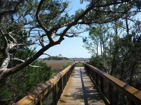 Florida's Special Places: Fort Mose Historic State Park | Audubon Florida