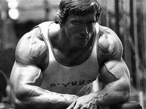 Arnold wallpaper arnold schwarzenegger bodybuilding conquer - fityshowcase