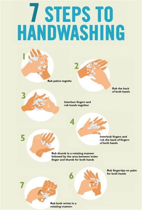 7 STEPS TO HAND WASHING - Read Training