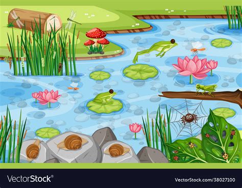 Pond scene with many green frogs Royalty Free Vector Image