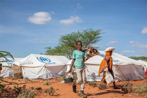 New settlement brings hope to Somali refugees fleeing conflict | UNHCR