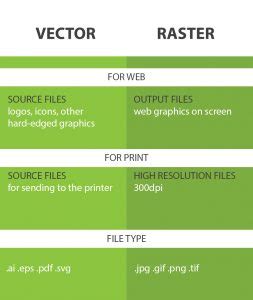 Vector and Raster: The Differences Between Both File Fomats