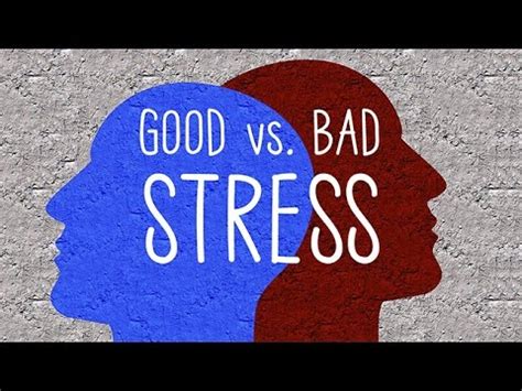 Good Stress Vs. Bad Stress - YouTube