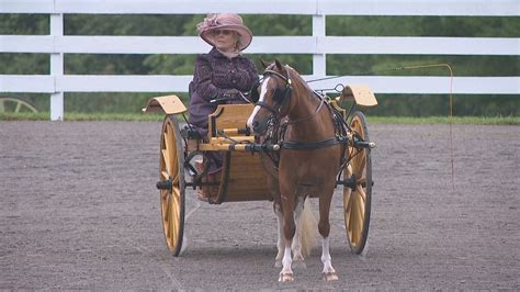 Carriage driving competition draws riders from across U.S. | WHAM