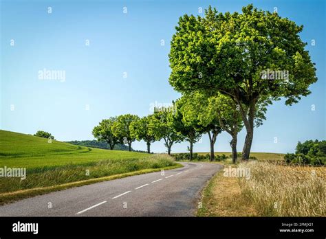 A typically French country road scene - The Short & Winding Road Stock ...