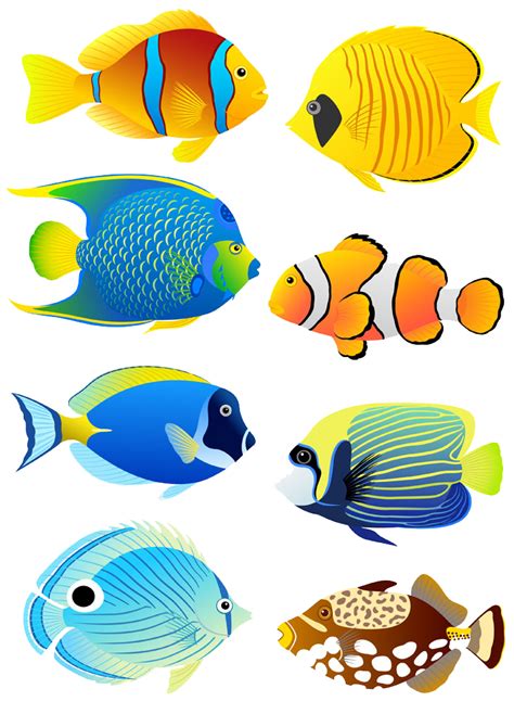 Fish clipart coral reef fish, Fish coral reef fish Transparent FREE for ...