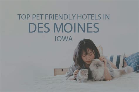 11 Best Pet-Friendly Hotels in Des Moines, IA 2024 - WOW Travel