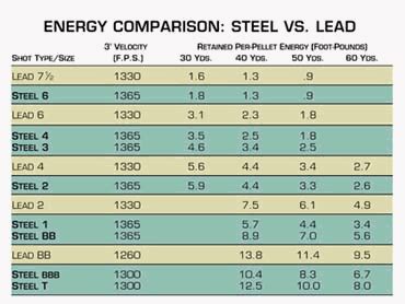 Lead Shot Vs Steel