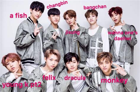 Stray Kids According to my Non SKZ Stan Friend | Stray Kids Amino