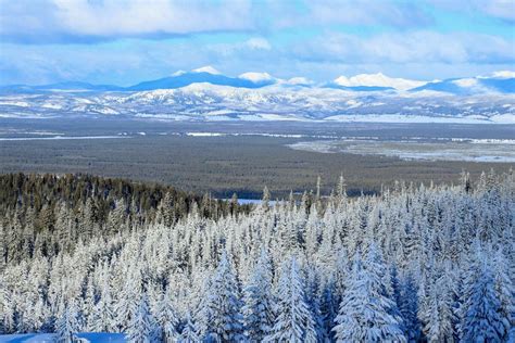 Surviving the Harsh Montana Winter of 1886 - Pocket Montana