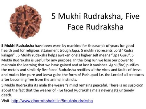 5 mukhi rudraksha,five face rudraksha from www.dharmikshakti.in