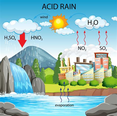 Diagram showing acid rain pathway 1783983 Vector Art at Vecteezy