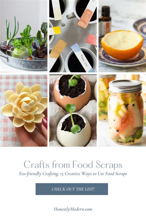 Eco-friendly Crafting: 15 Creative Ways to Use Food Scraps – Honestly ...