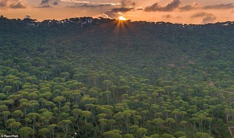 Lebanon: Stunning images show beauty of the Middle Eastern country | Daily Mail Online