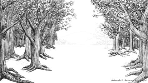 Forest Drawing Easy at PaintingValley.com | Explore collection of ...