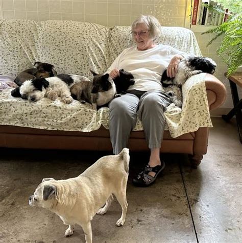 Bob's House for Dogs to build larger facility, foster cats | Local News | leadertelegram.com