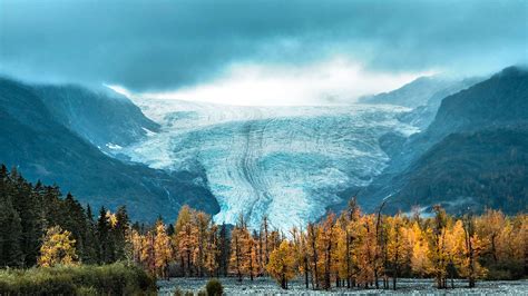 Exit Glacier in Kenai Fjords National Park - National Park Trips