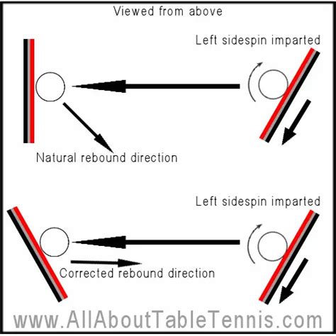 Table Tennis Techniques - Spin