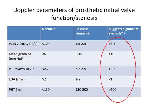 Mitral Valve Prosthesis