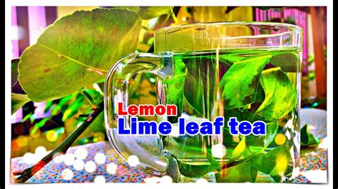 How to Lime leaves tea - Healthy tea - Homemade tea ชาใบมะนาว แก้อาการนอนไม่หลับ - YouTube