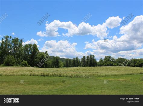 Hill Top View. Tree Image & Photo (Free Trial) | Bigstock