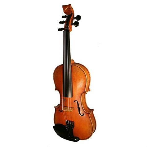 Tasman 5 String Electro Acoustic Violin | Bridge Violins