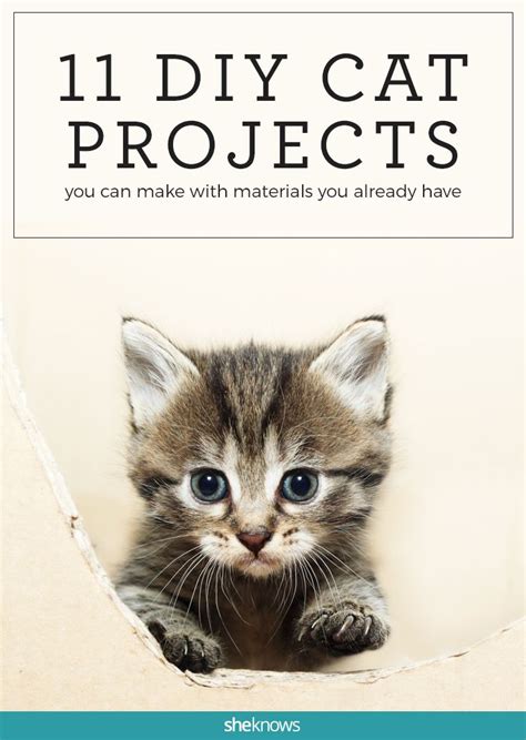 11 Cat Projects You Can DIY With Materials You've Already Got | Cat diy ...