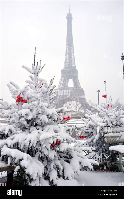 Paris, Eiffel tower, France, Winter Snow Storm, Scenic with Snowy Christmas Trees, Christmas ...