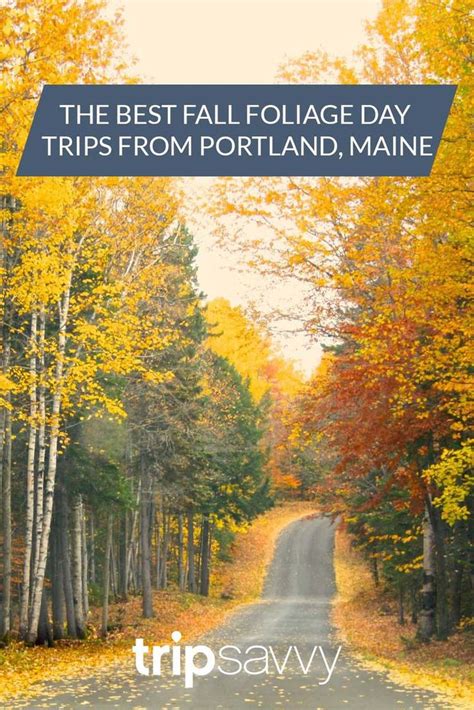 the best fall foliage day trips from portland, maine - tripsavy com