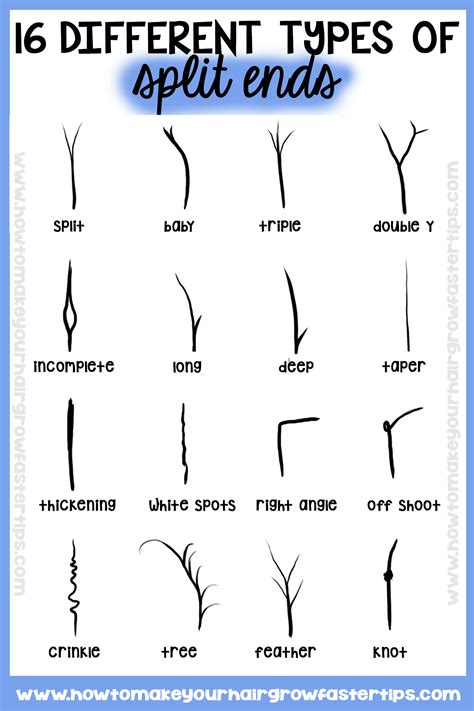 Did You Know There are 16 Different Types of Split Ends? | How to Make Your Hair Grow Faster ...