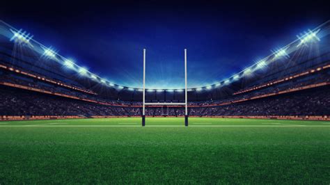 huge rugby stadium with fans and green grass - Vivre Plus Hollister