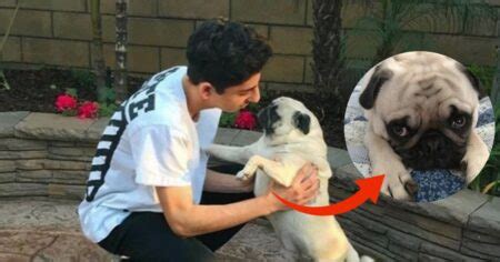 What Happened To FaZe Rug's Dog Bosley? Did FaZe Rug's Dog Die?