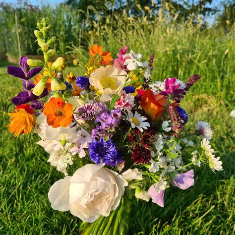 Essence Of Nature Flowers | Flowers from the Farm