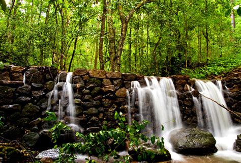 Photo Gallery of Mudumalai Wildlife Sanctuary- Explore Mudumalai ...