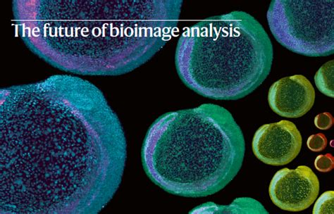 Nature Methods on Twitter: "For this Focus issue, we asked experts in ...