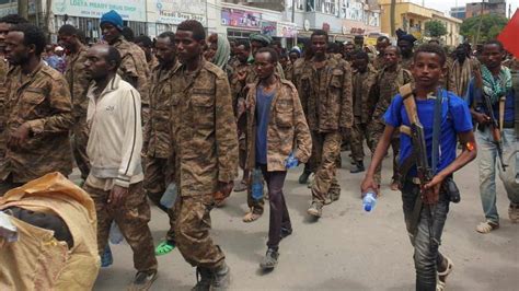 Ethiopia's Tigray forces free 1,000 captured soldiers