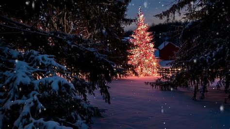 Winter ambience, snow falling, Christmas songs, wind sounds, Christmas ...