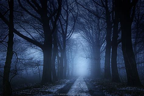 Stefan Kierek - Radonart - Dark forest